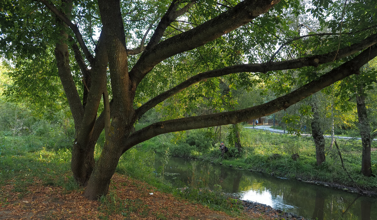 ***** - юрий поляков