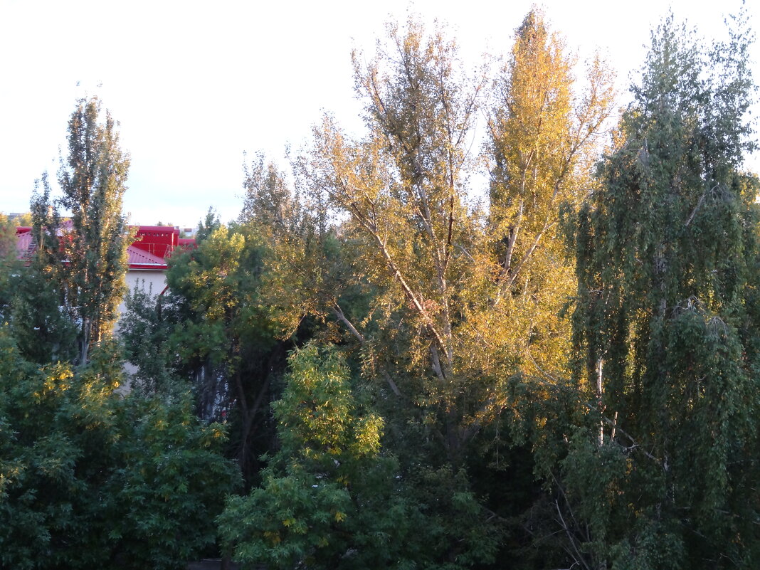 НАЧАЛО ОСЕНИ - СЕРГЕЙ ФИЛОЧКИН