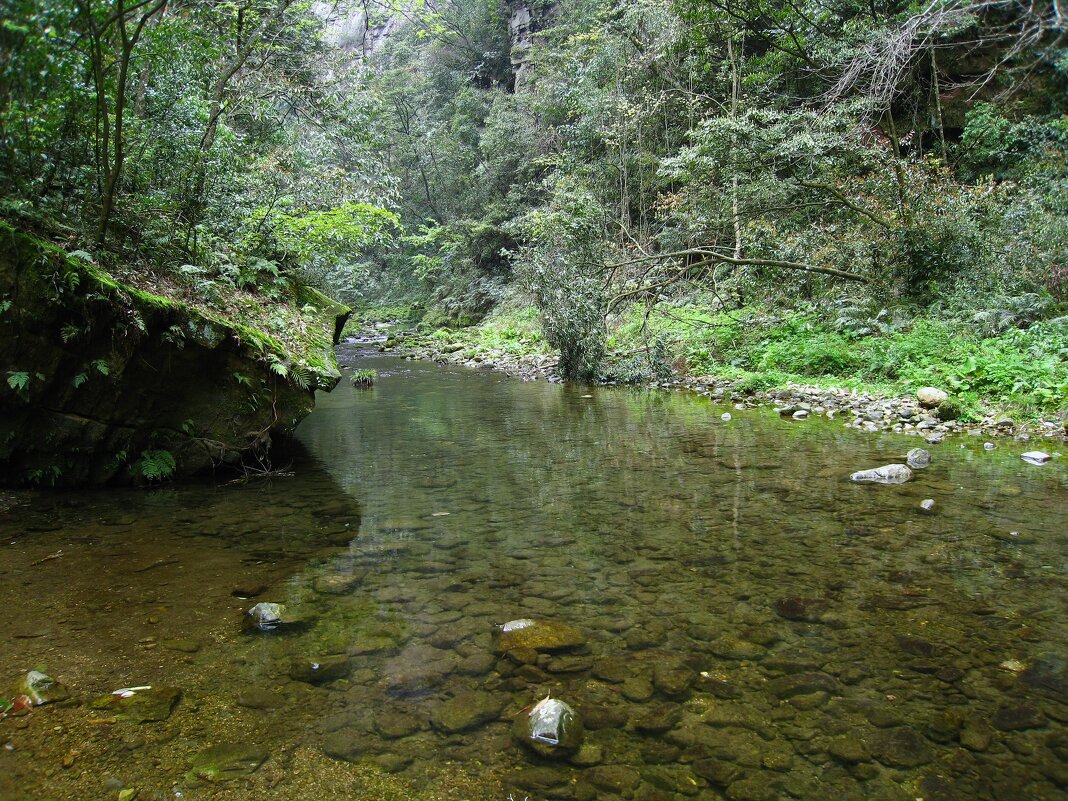Река Цзиньбинь в Национальном парке Чжанцзяцзе (Горы Аватара). - unix (Илья Утропов)