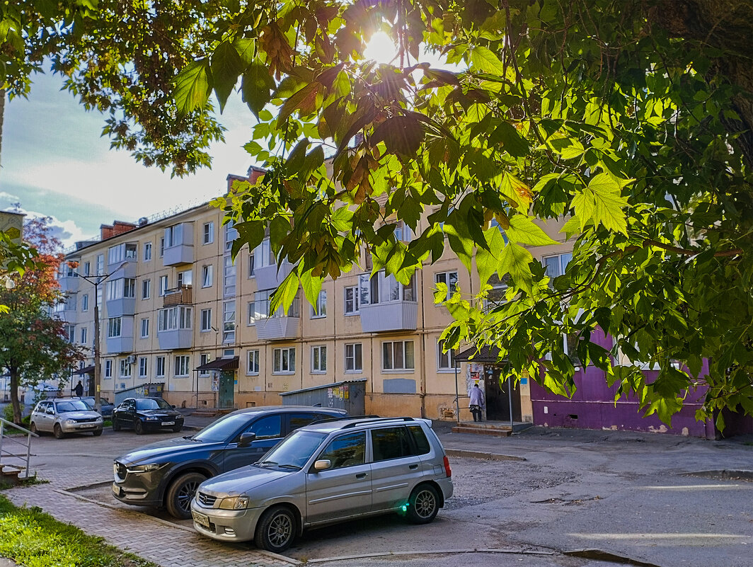 Лето прошло - Дмитрий Костоусов