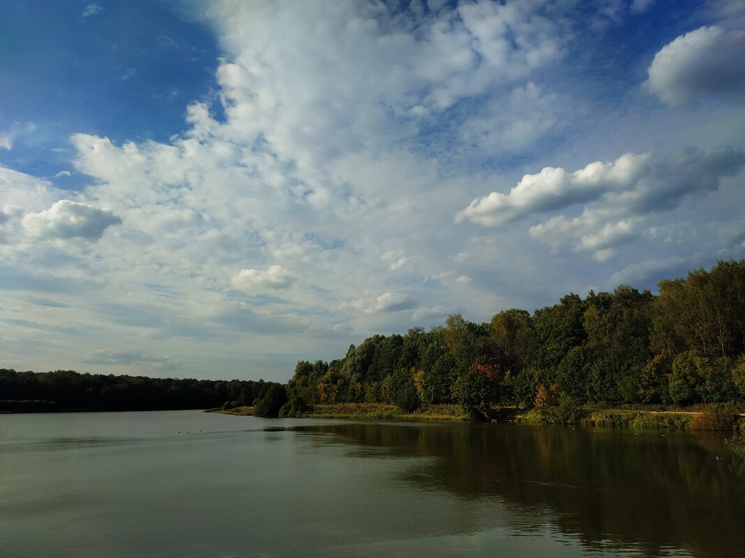 * * * - Андрей Лукьянов * * * - Андрей Лукьянов