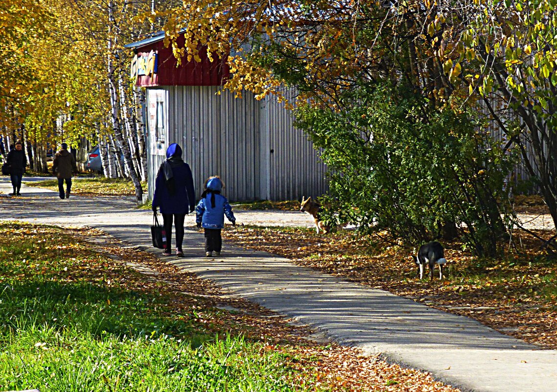 Из серии "Люди и псы"! - Владимир 