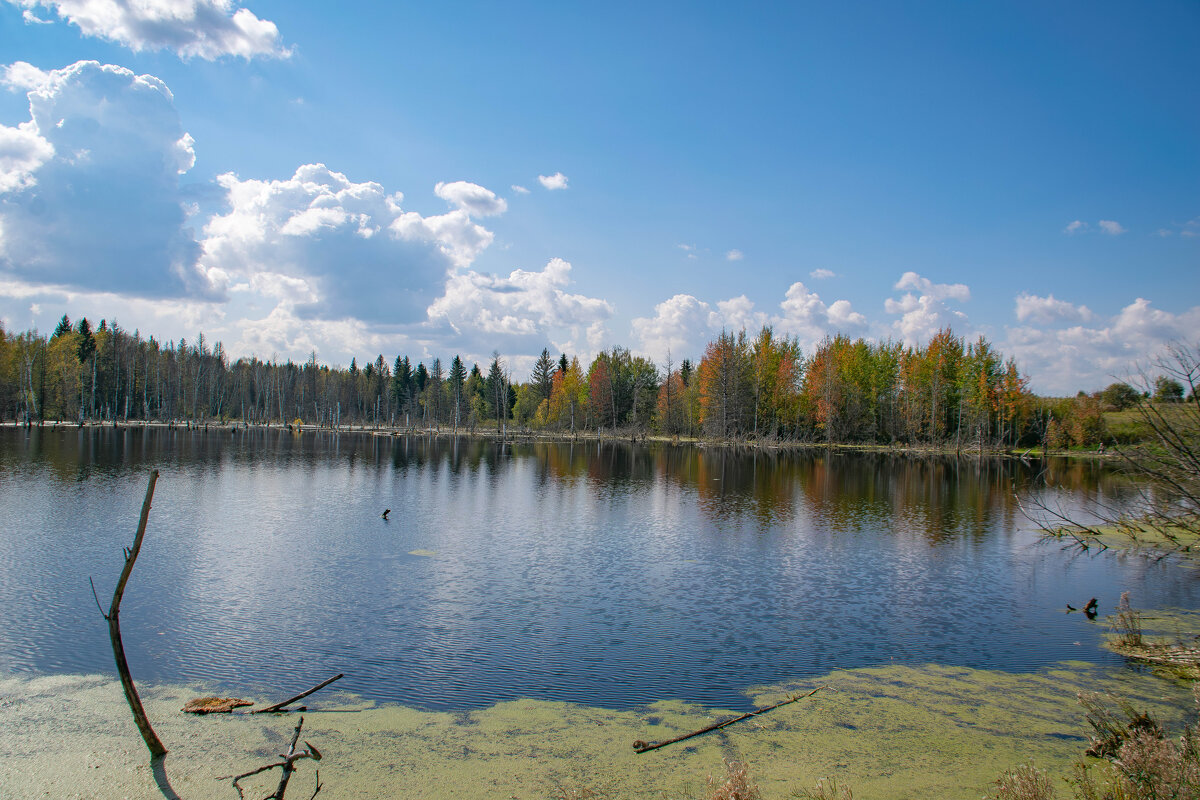 - - Владимир Мигонькин