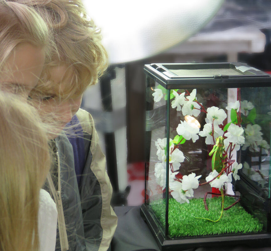 знакомство - ИРЭН@ .