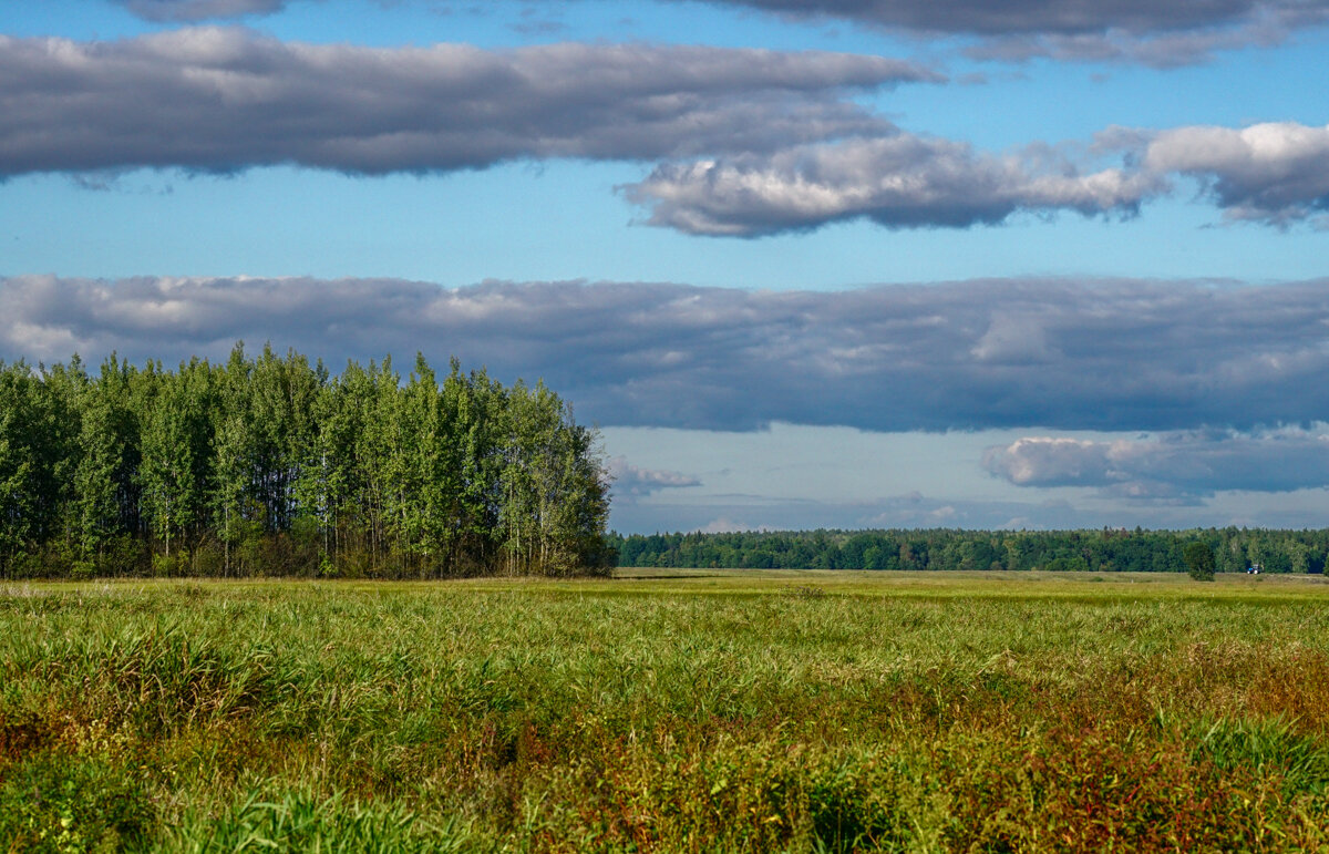 Начало Осени - Игорь Сикорский Начало Осени - Игорь Сикорский