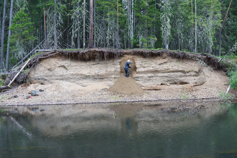 Рабочие моменты... - Галина Ильясова
