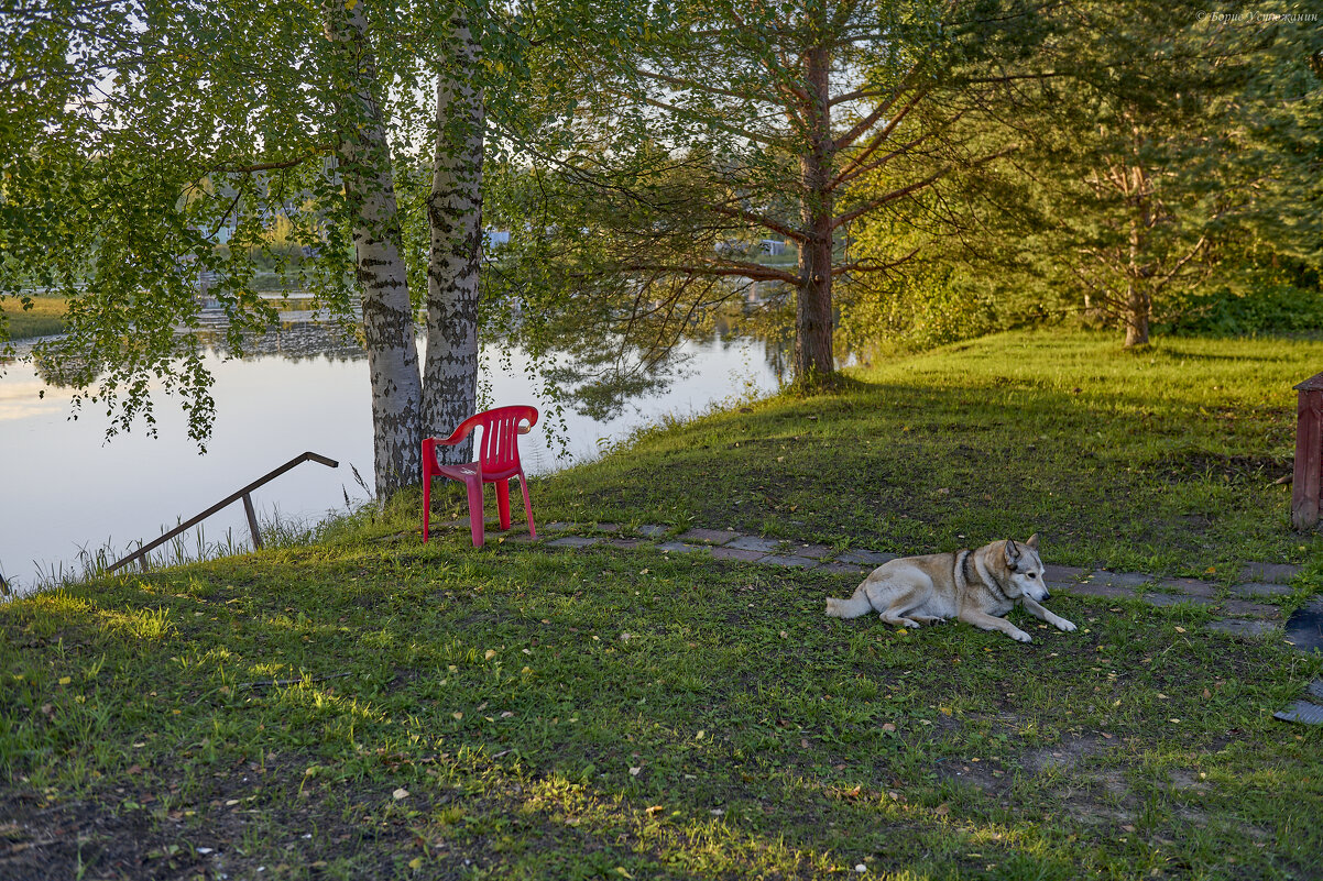 Хозяйка огорода))) - Борис Устюжанин Хозяйка огорода))) - Борис Устюжанин