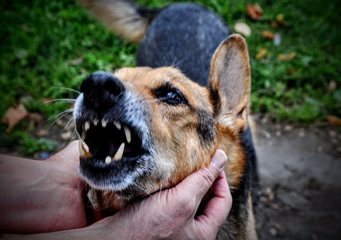 Хоть и давно на пенсии , но зубы ещё крепки ! ) - Анатолий Колосов