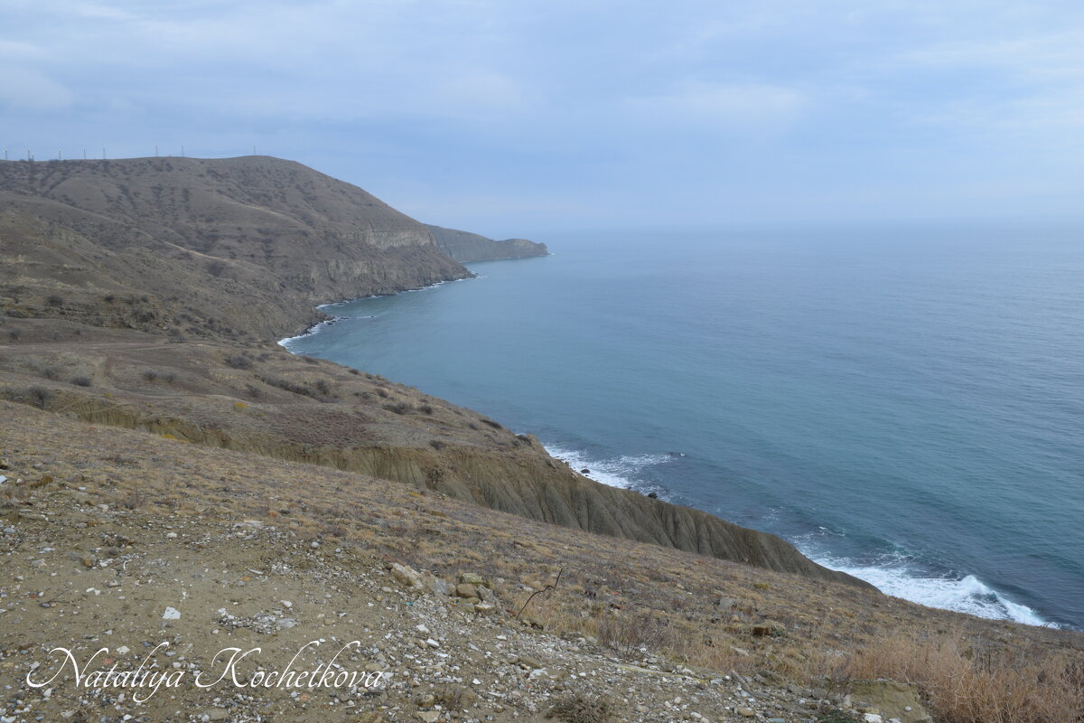 Природа Крыма - Amazing Cosmea