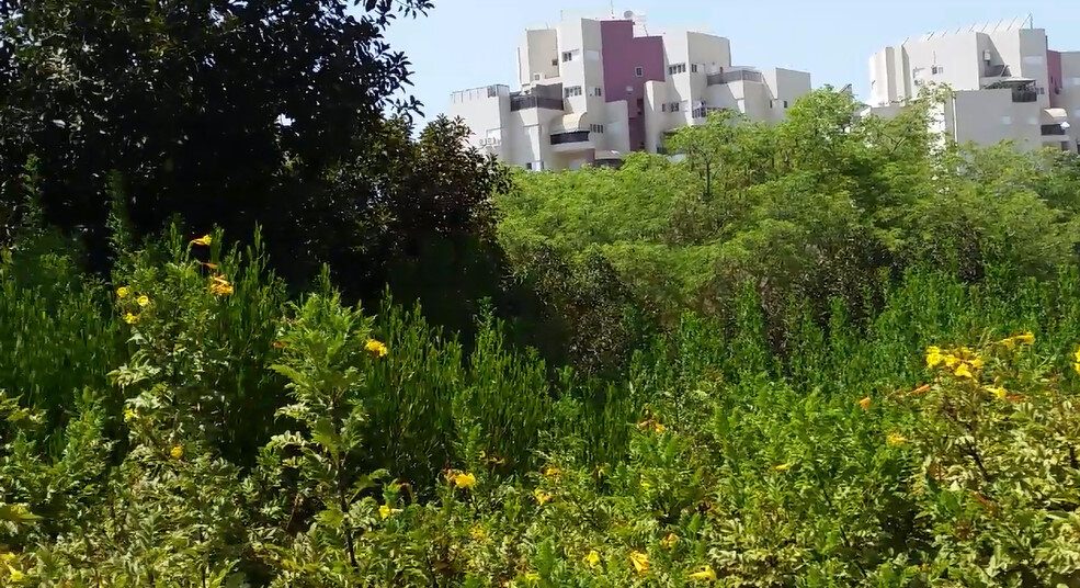 113 (122) - CLOSE WAYS ALL