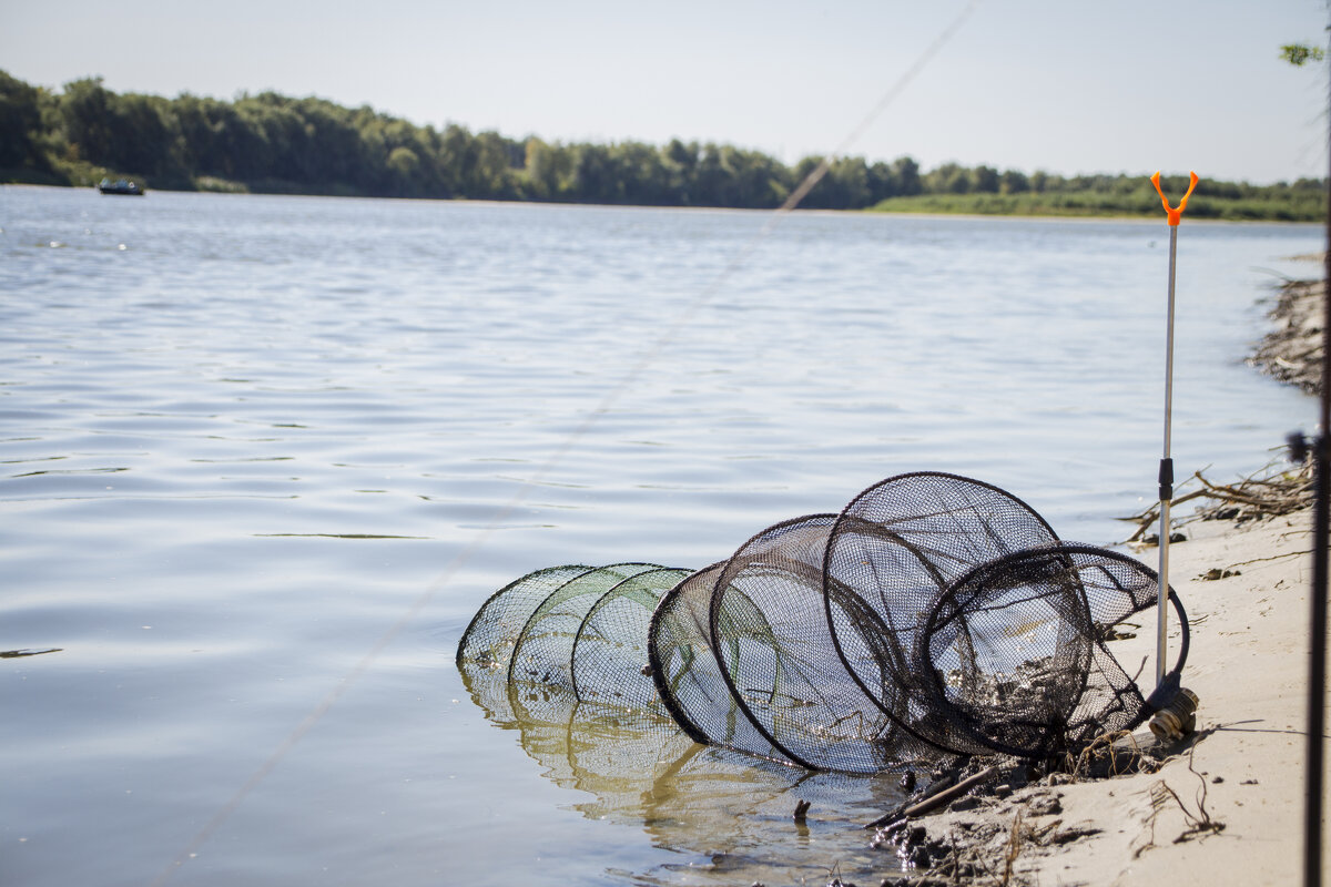 Рыбалка на Дону - Тамара Федорова