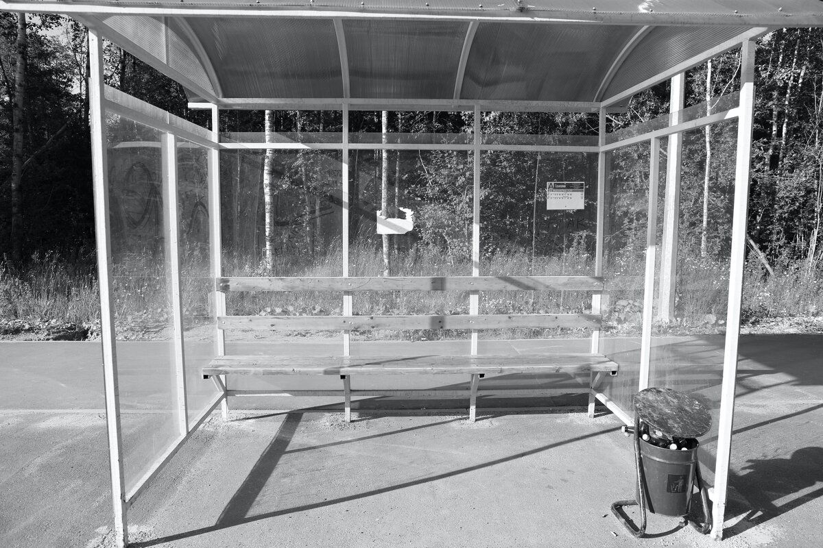 ... - Денис Безногов