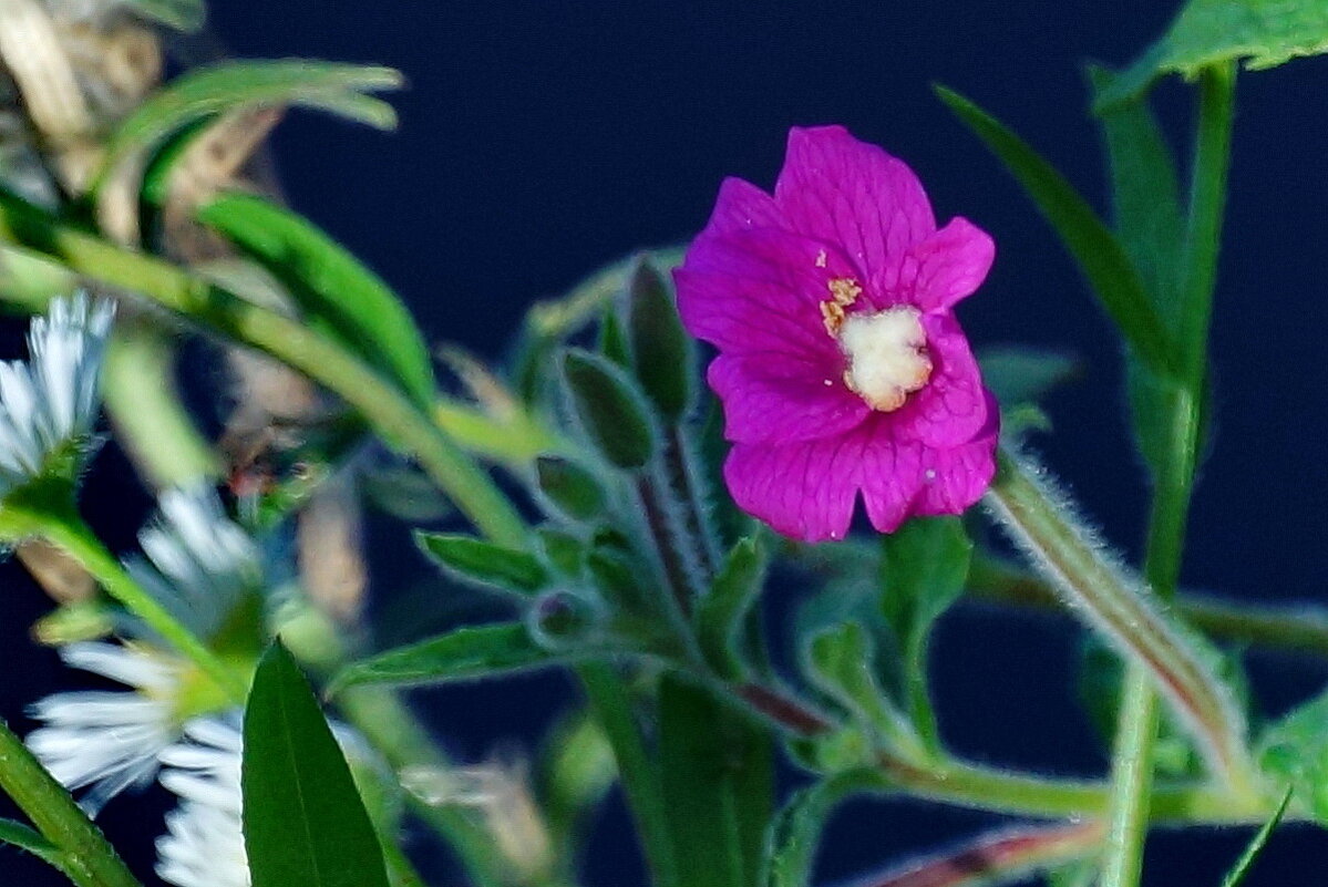 Про Осень... - Николай Саржанов