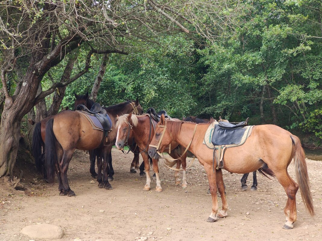 Кого-то ждут - Ирэн 