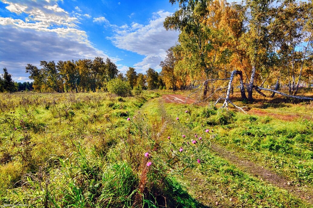 Осень наступила - Mikhail Irtyshskiy