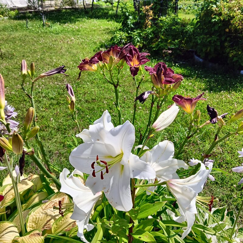 красота - Владимир 