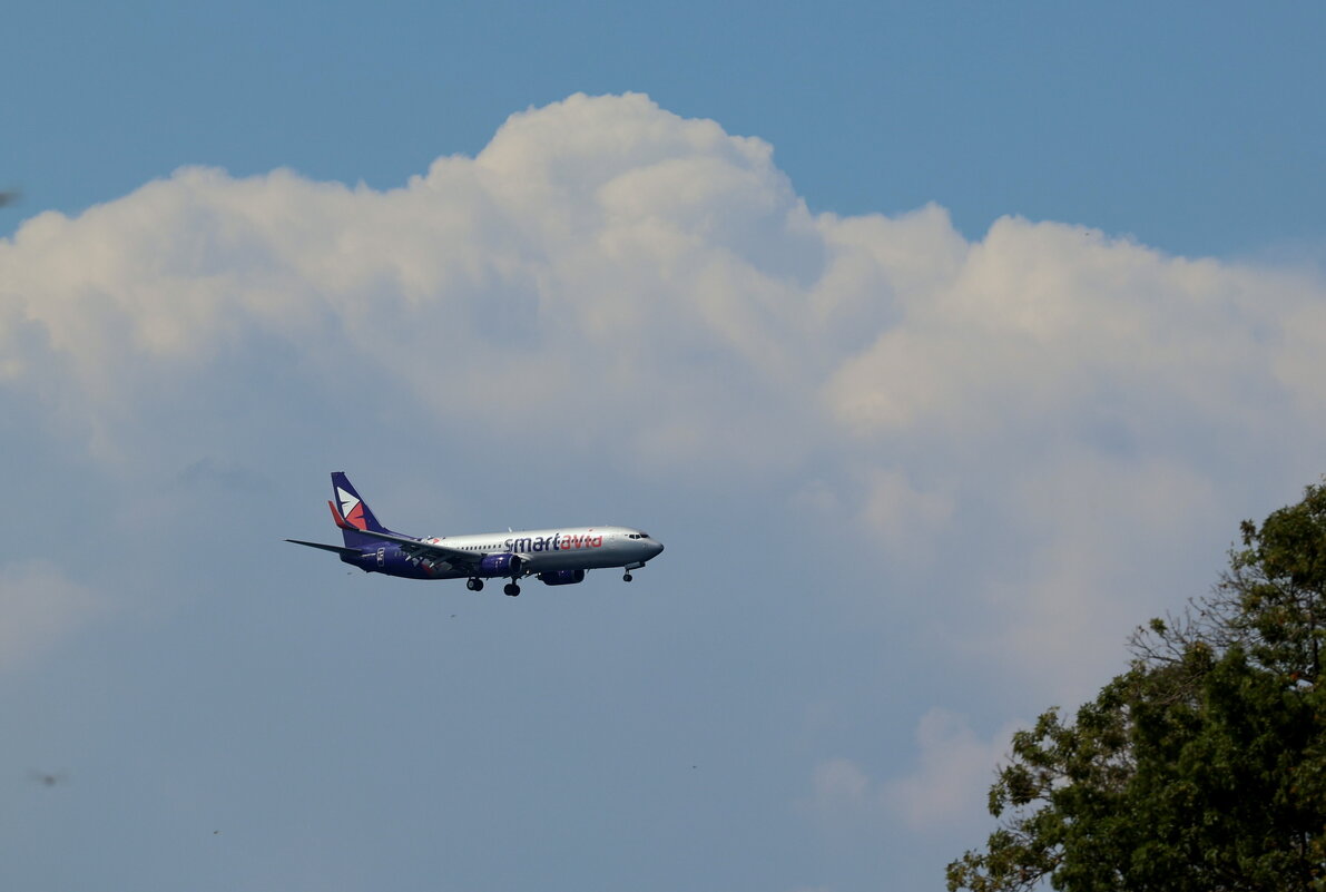 Птичка. - Александр Кондаков