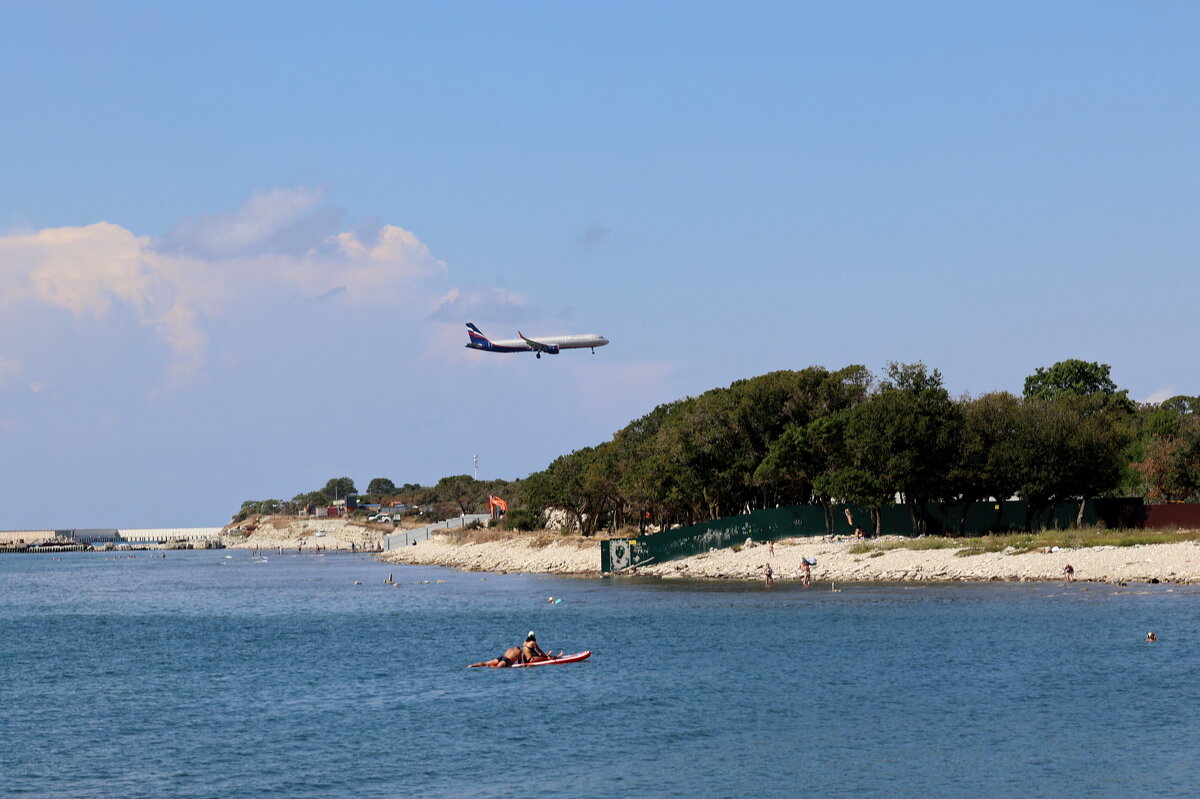 Птичка над морем. - Александр Кондаков