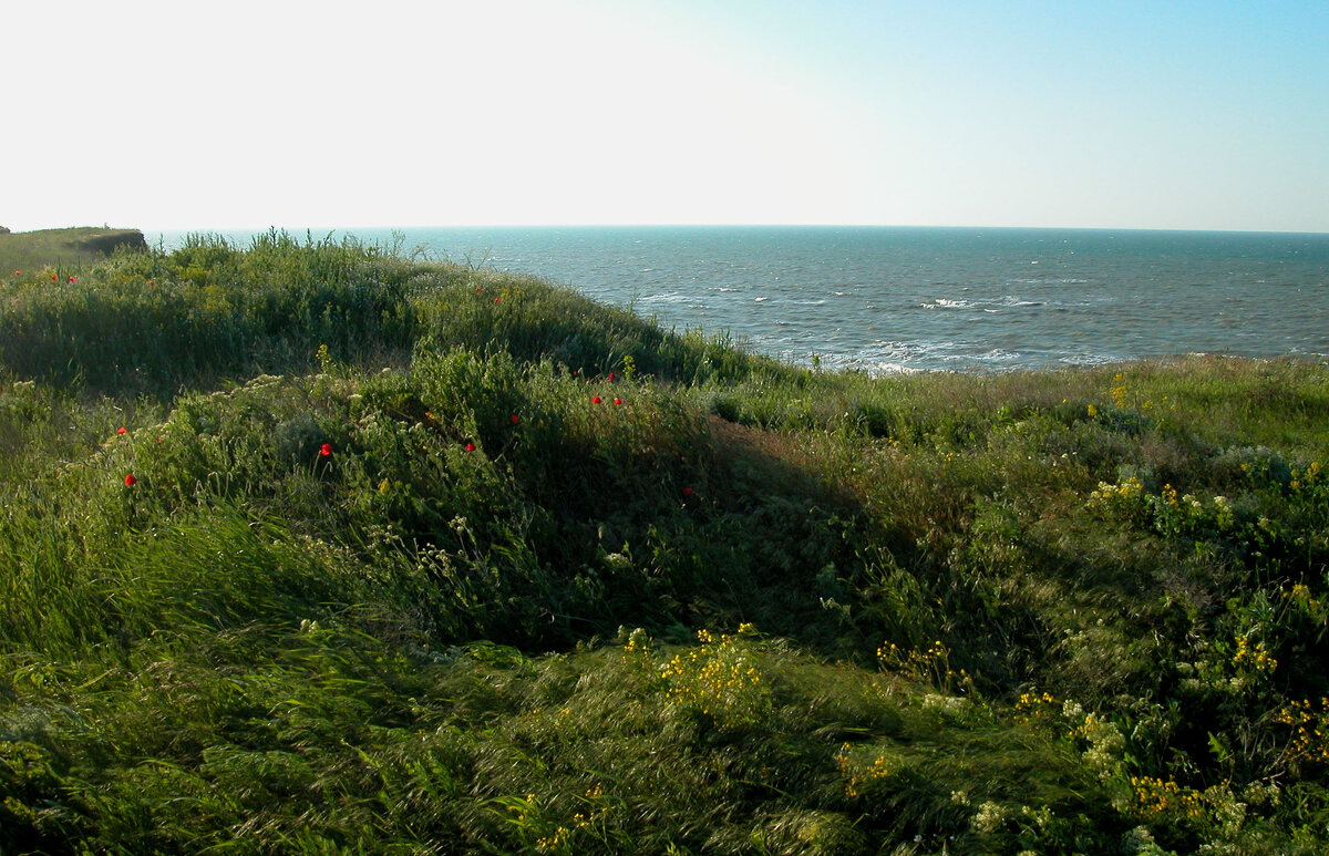 Таманская весна - Наталья Лунева 