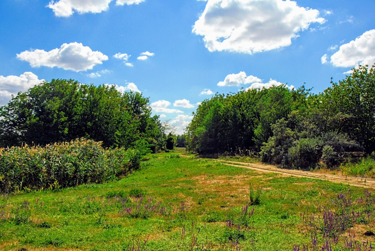 Сентябрьский полдень. - Владимир 