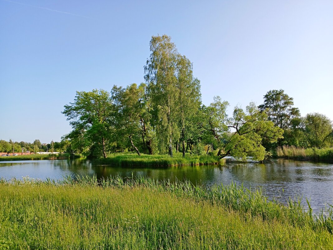 Летним днём. - Лия ☼