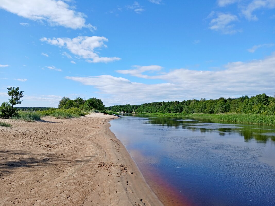 Река Коваш. - Лия ☼