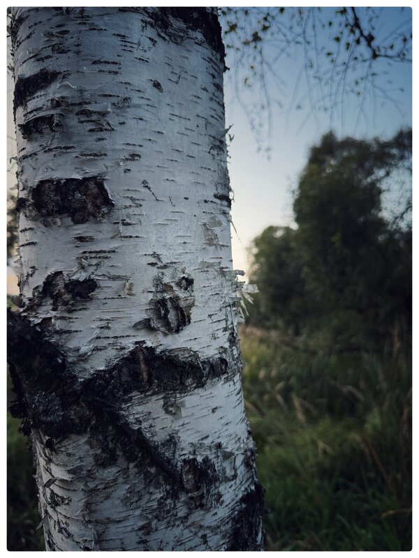 *** - someone somewere