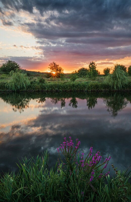 Летний вечер - Ирина 