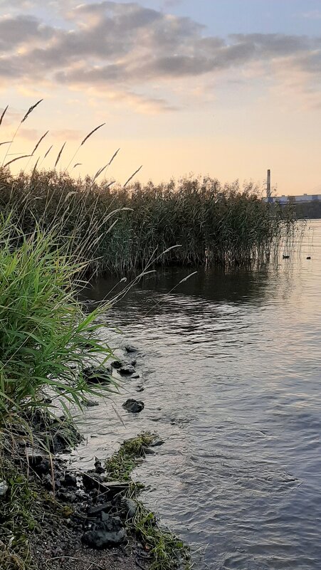 Нева - Наталья Герасимова Нева - Наталья Герасимова