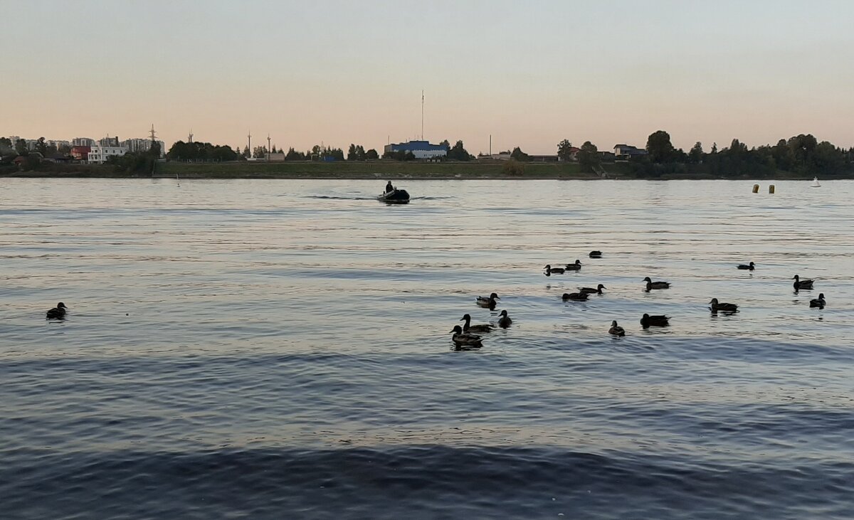 Нева - Наталья Герасимова