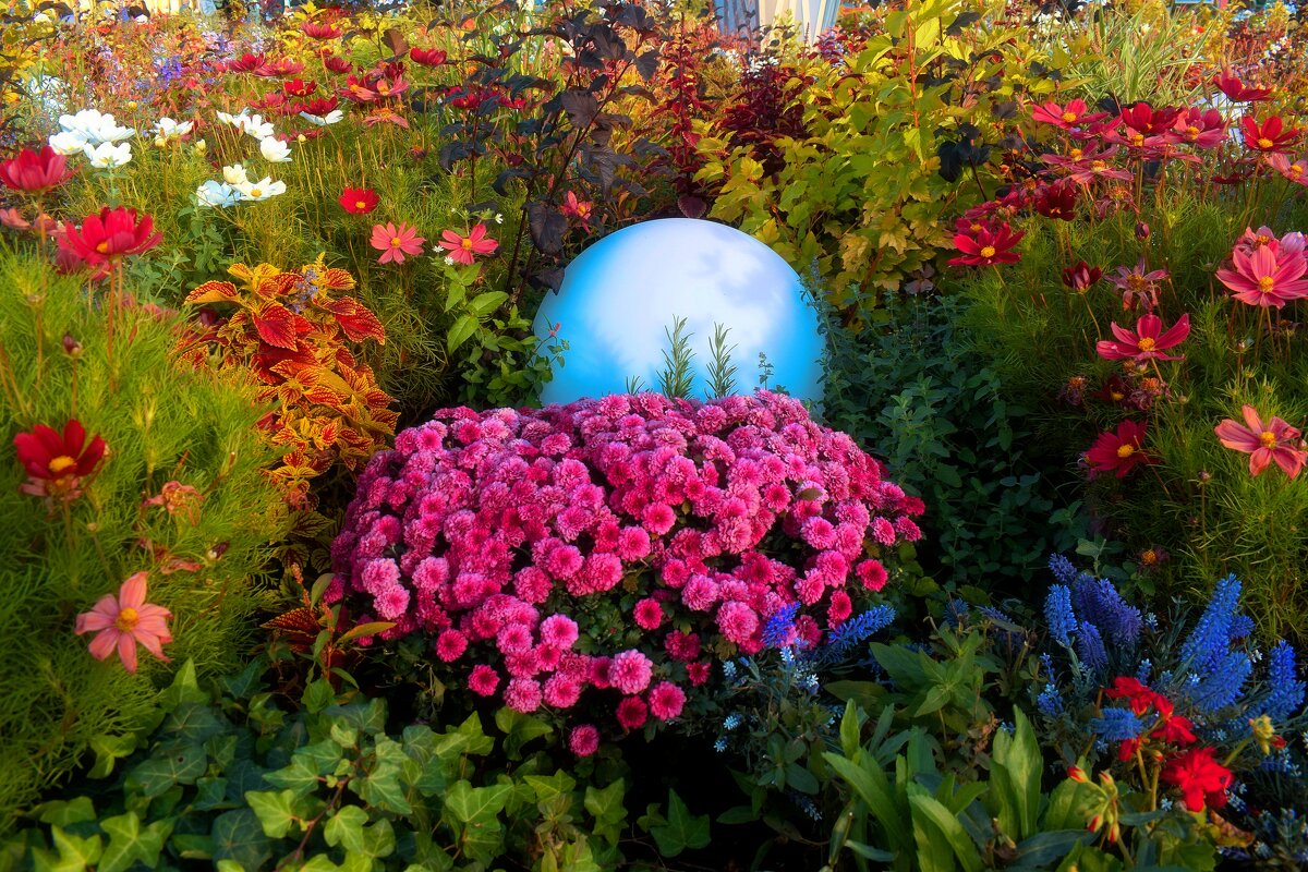 Калейдоскоп цветов. - Татьяна Помогалова