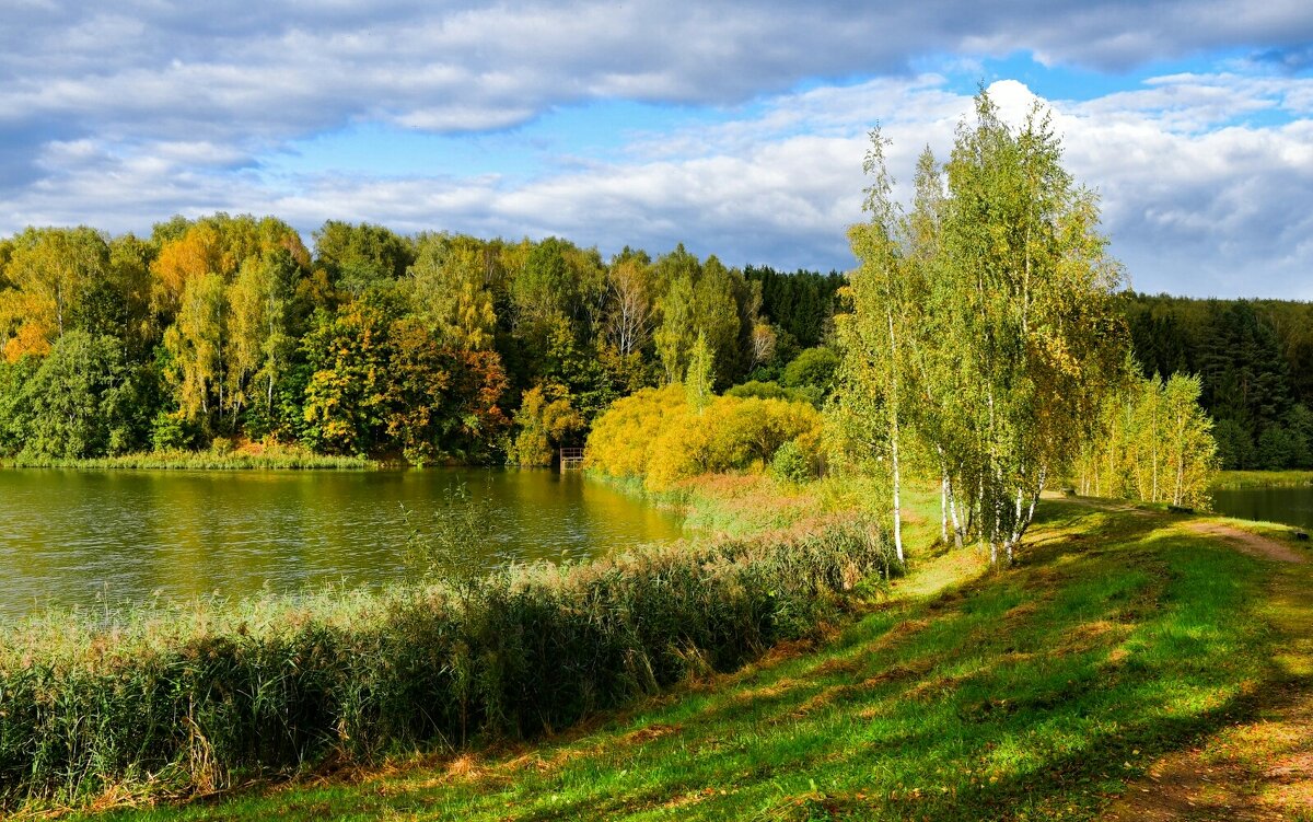 Смоленская осень. - Милешкин Владимир Алексеевич 