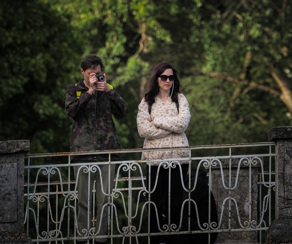 Наблюдать или снимать? - Магомед . Наблюдать или снимать? - Магомед .