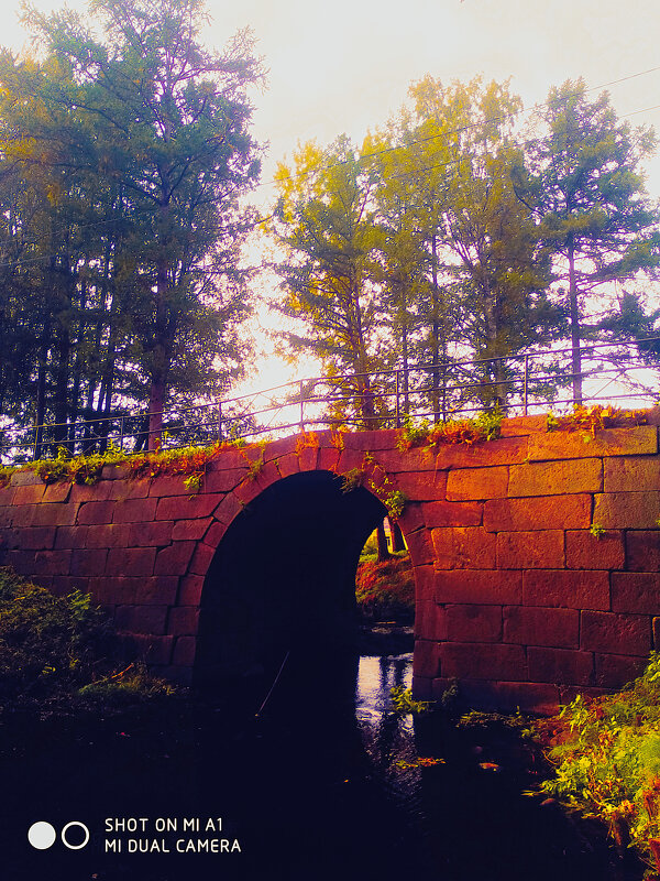 Гранитный мост - Сергей Кочнев