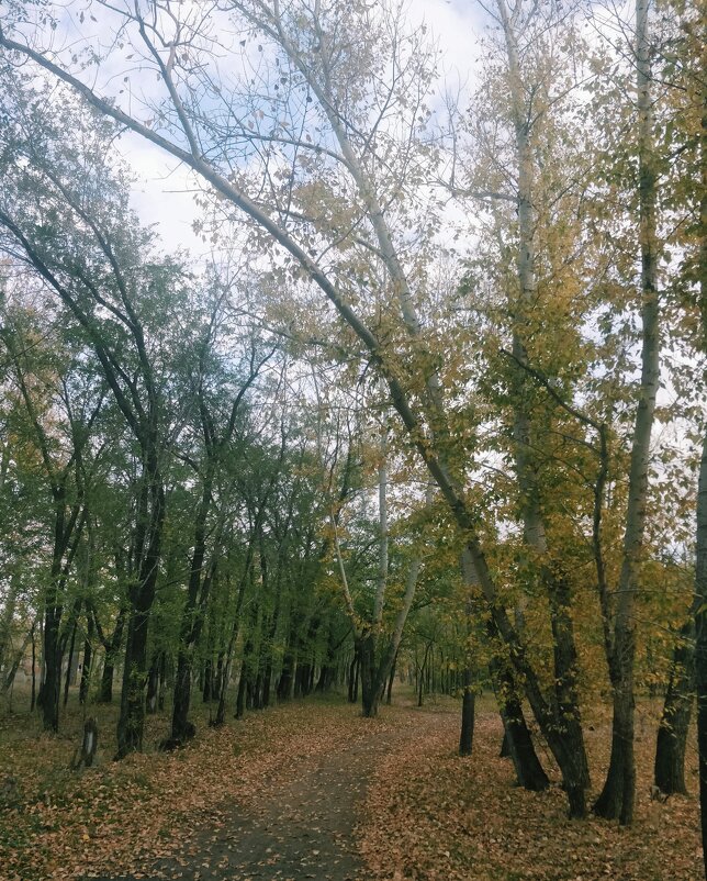 Тишина - Андрей Хлопонин