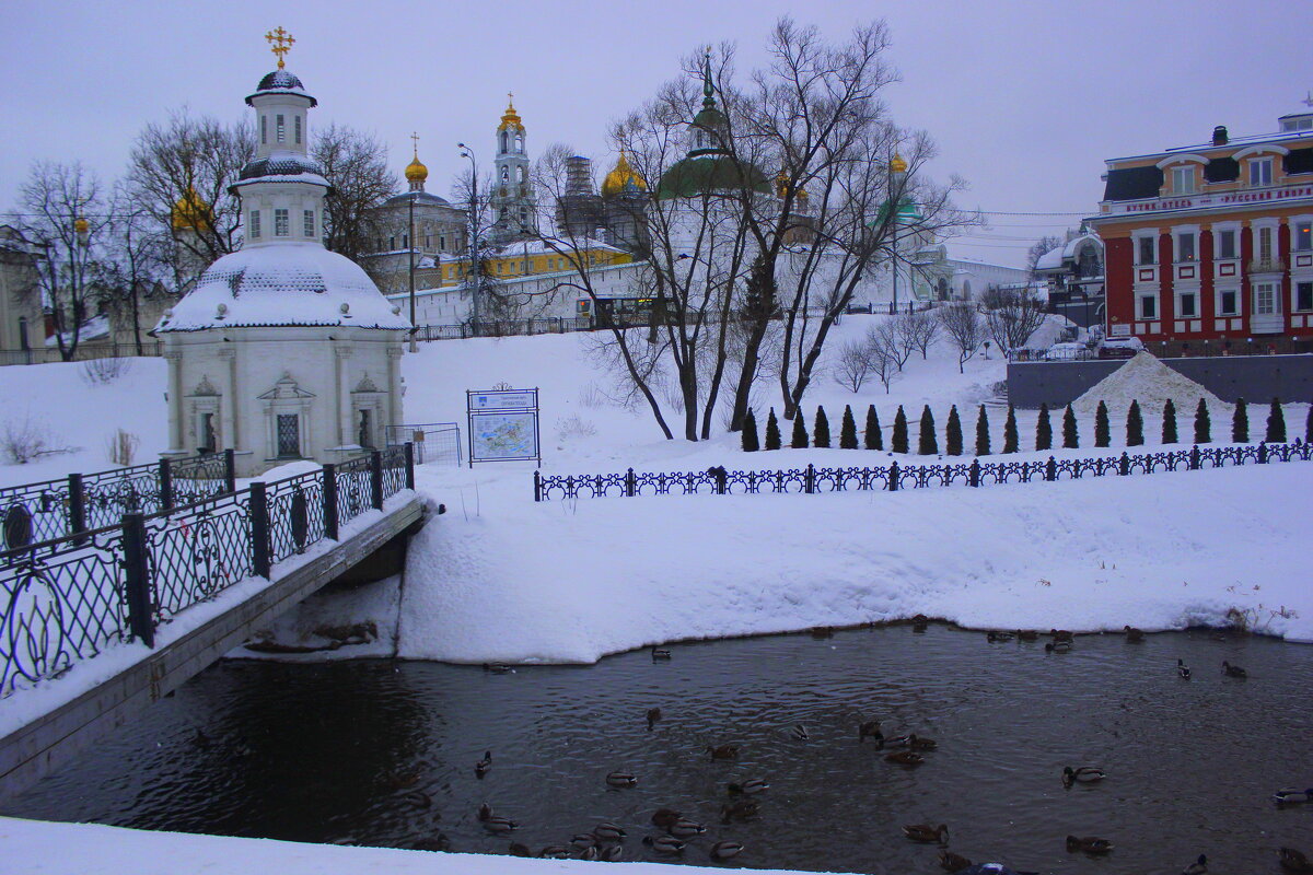 Утки на реке Кончура на фоне Троице-Сергиевой Лавры - Марина Валиуллина
