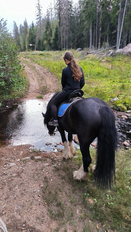 У лесной речушки. - Ольга У лесной речушки. - Ольга