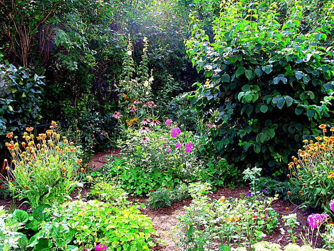 Цветы. - Владимир Драгунский Цветы. - Владимир Драгунский