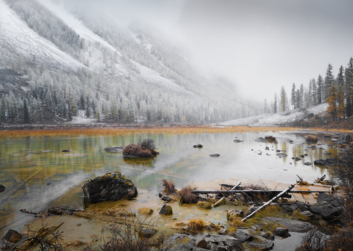 * - Александр Иванов