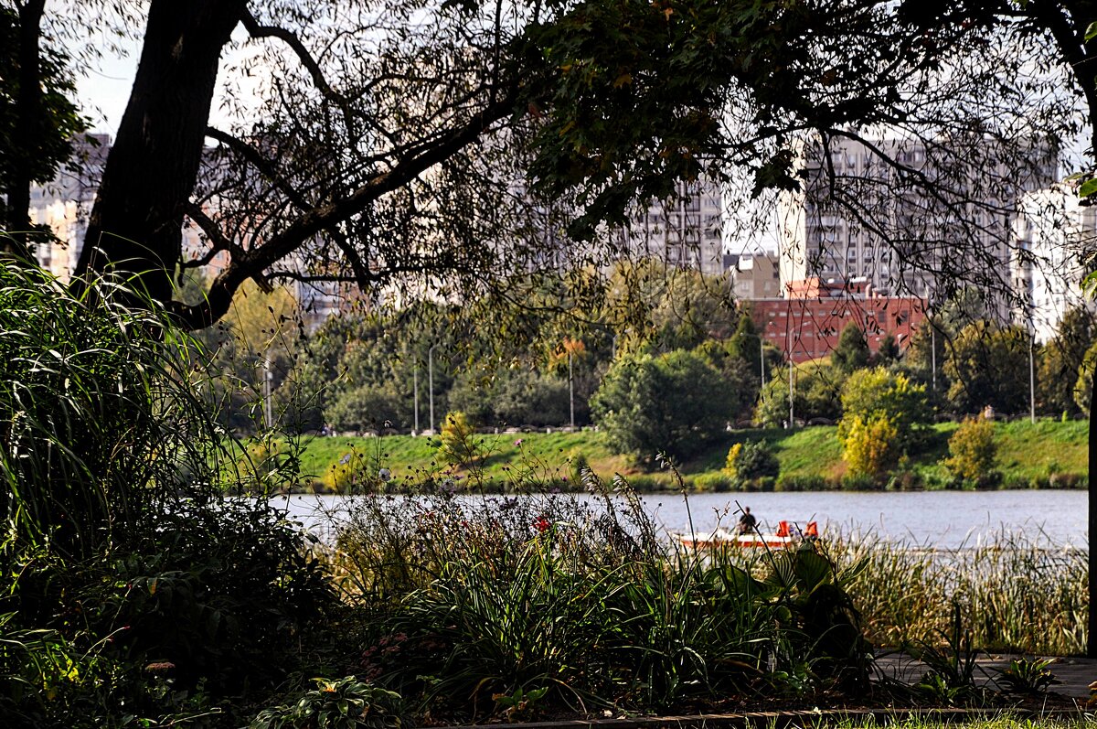 Жизнь на реке ...скрытной камерой,,,) - Анатолий Колосов