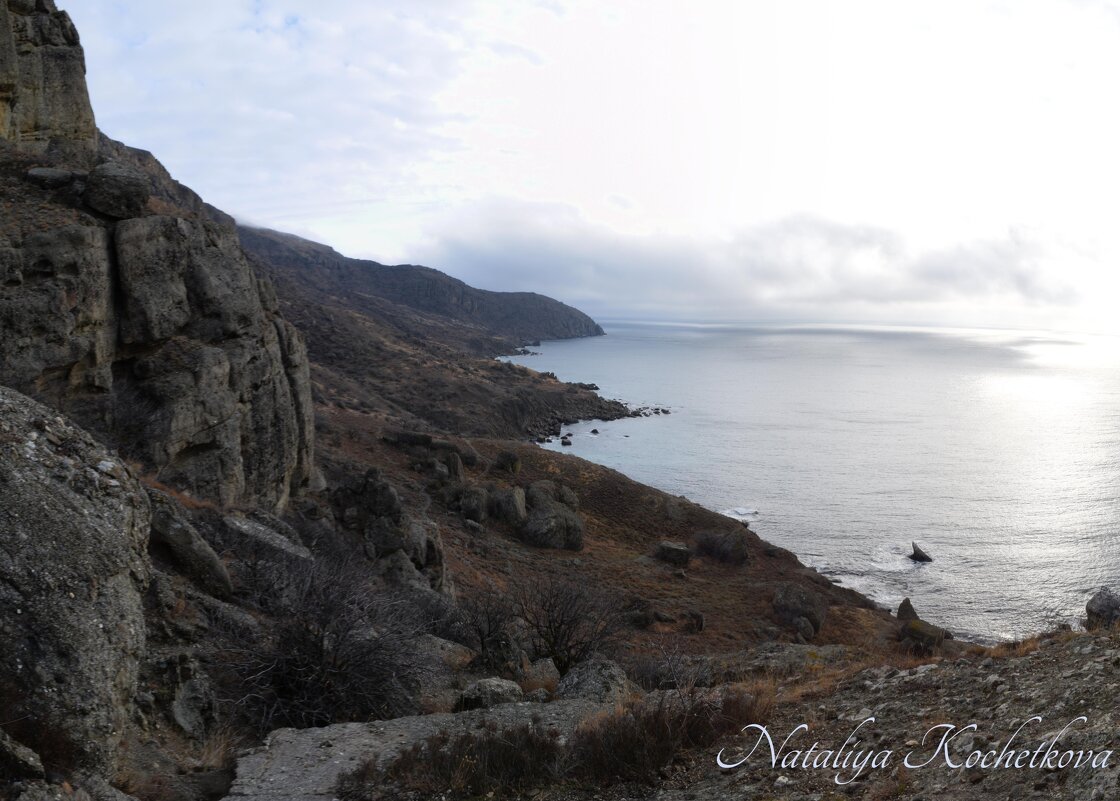 Природа Крыма - Amazing Cosmea