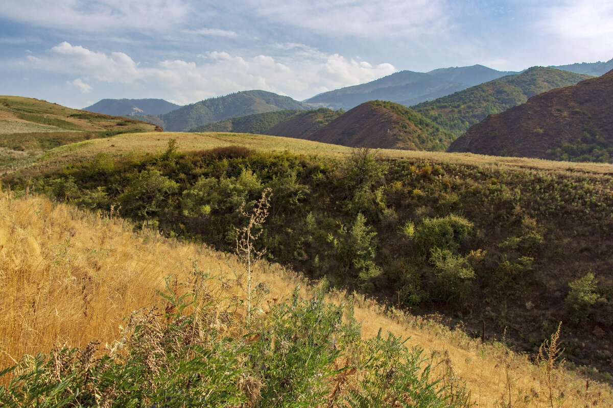 Осень кисточки достала... - LudMila 