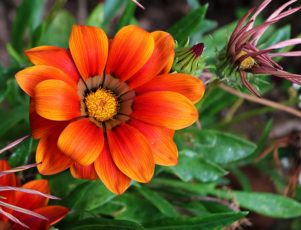 Гацания - Светлана 