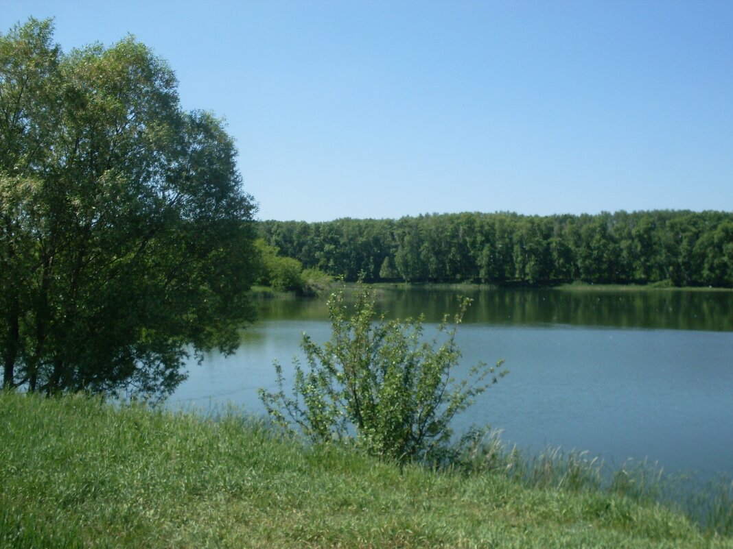 НА ОЗЕРЕ - СЕРГЕЙ ФИЛОЧКИН