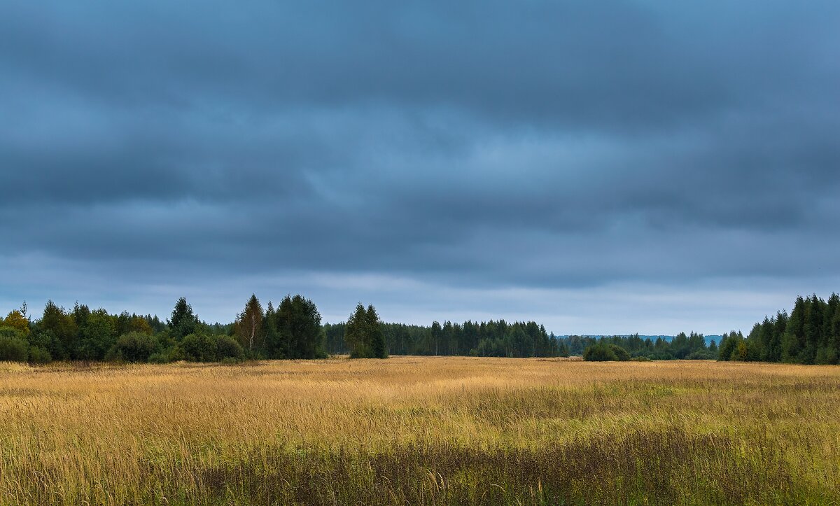 *** - Андрей Андрианов