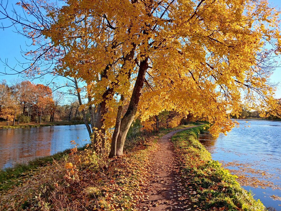 Октябрь уж близится... - Лия ☼