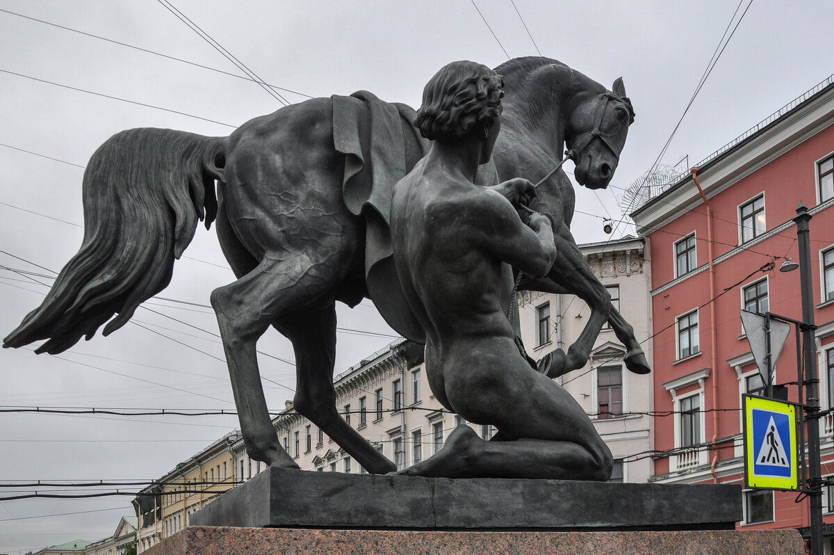 Укрощение коня - Татьяна Машошина