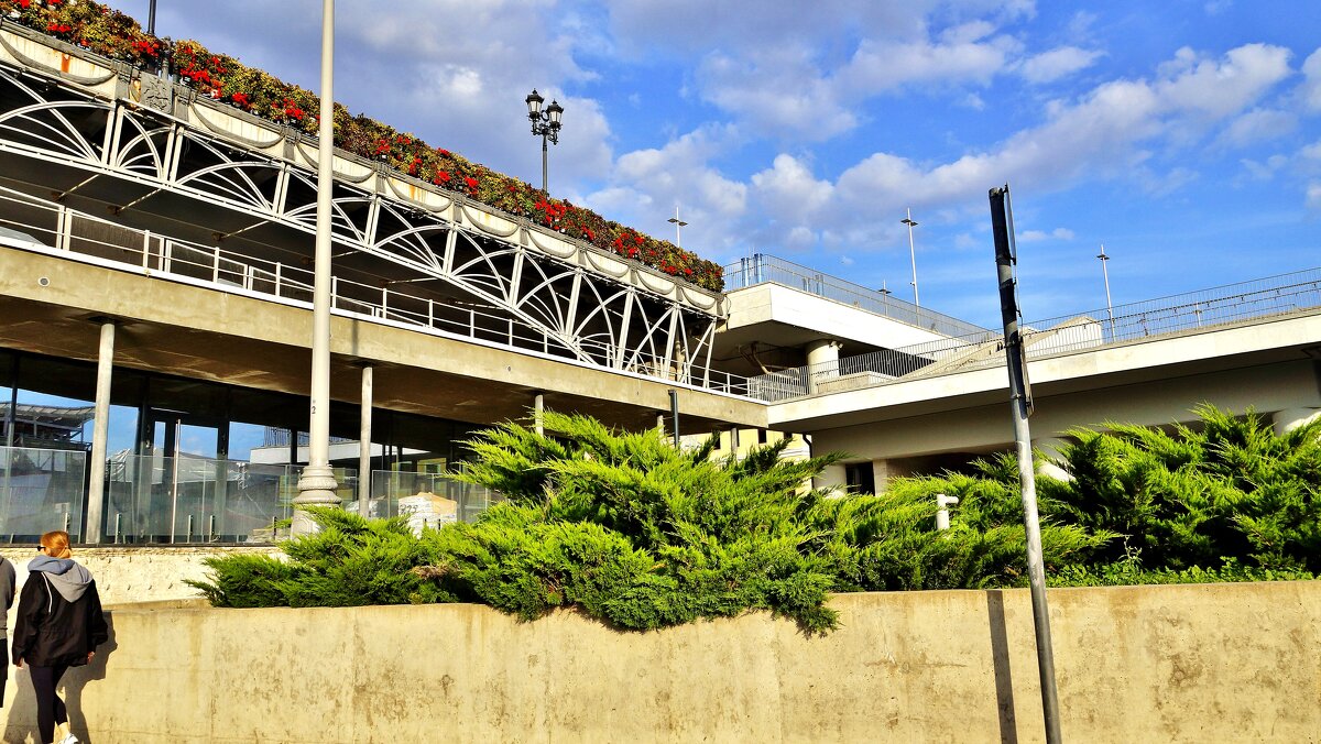 ..... - АЛЕКСАНДР 