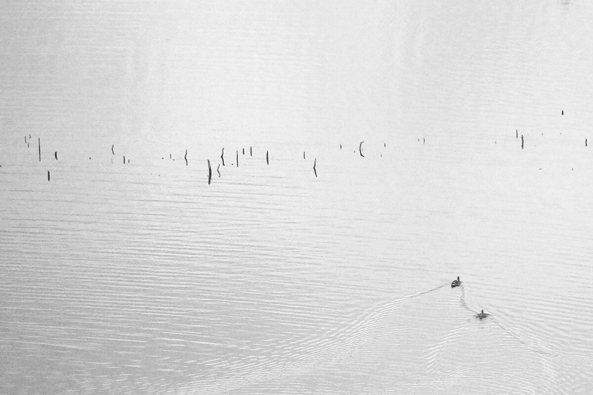 *** - Андрей Иванов