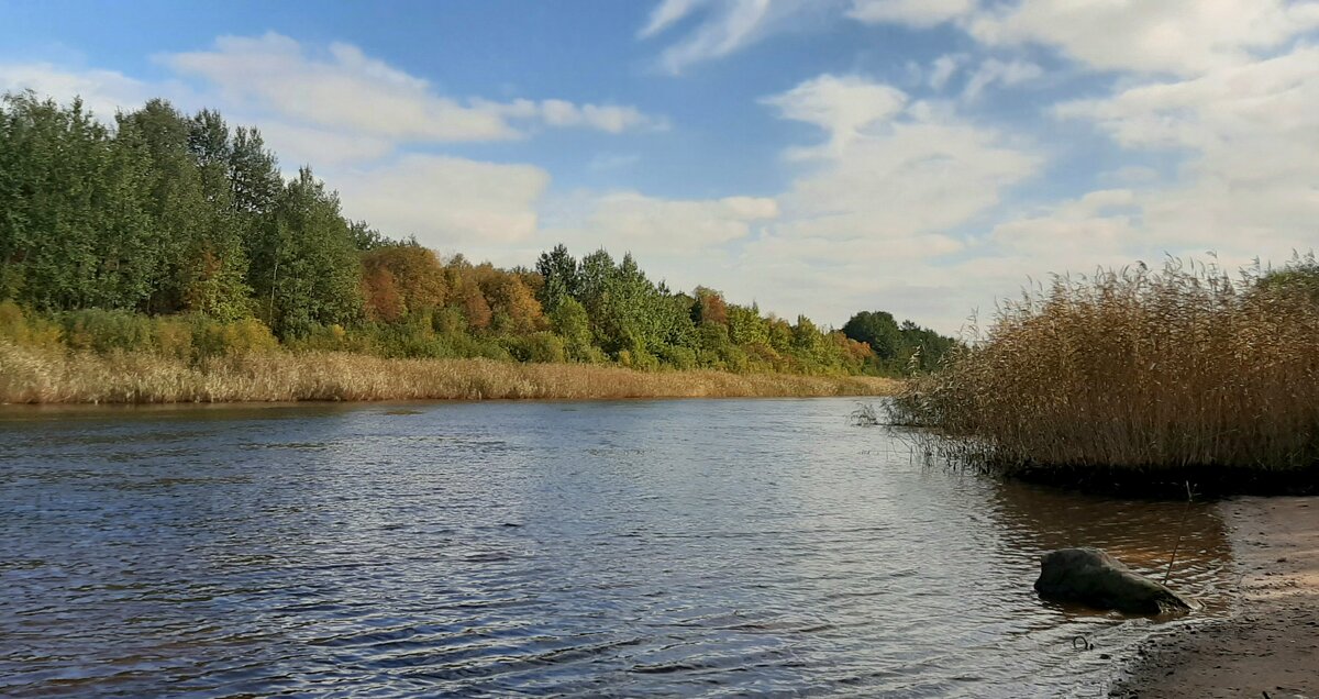 Новоладожский канал. Сентябрь - Наталья Герасимова Новоладожский канал. Сентябрь - Наталья Герасимова
